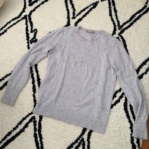 Everlane Cashmere Crew Sweater